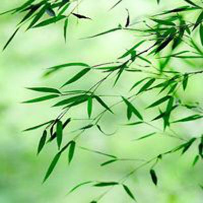 暴打魏蜀吴内购破解版下载